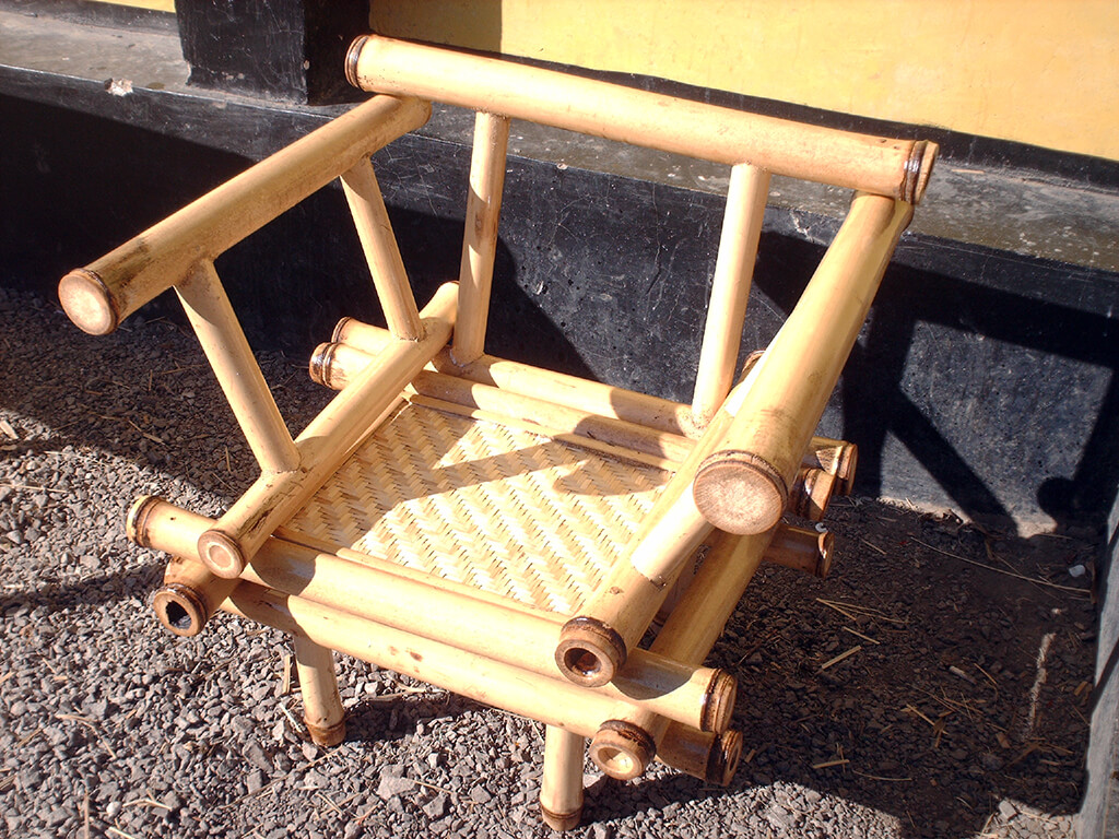 Universidad Politécnica de Madrid / 2011-ESP – bambusa espinosa