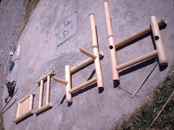 Universidad Politécnica de Madrid / 2011-ESP – bambusa espinosa