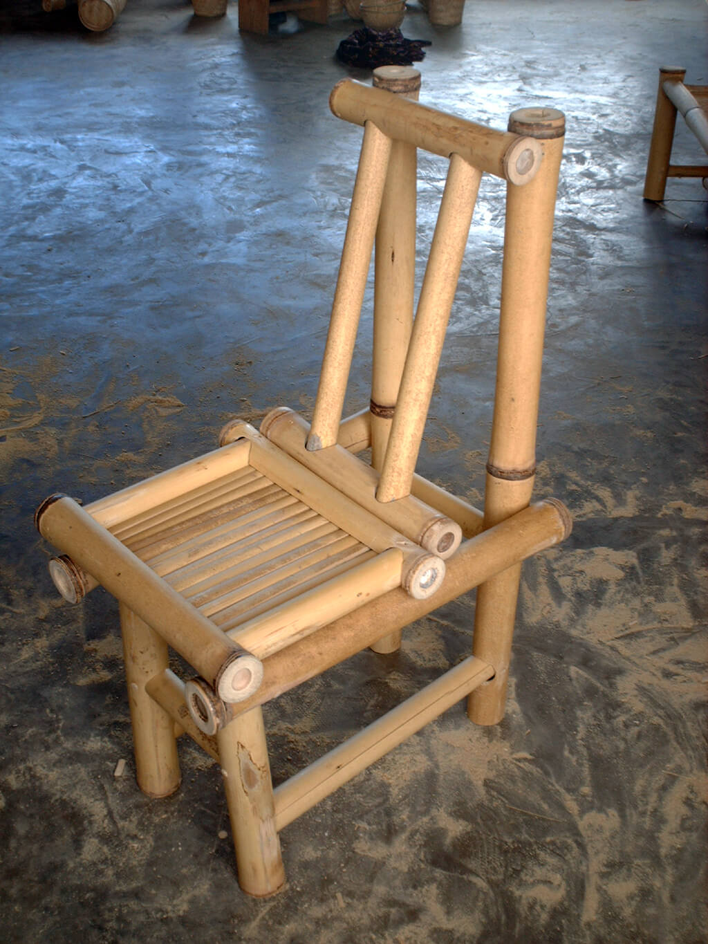 Universidad Politécnica de Madrid / 2011-ESP – bambusa espinosa